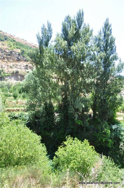 Hiking in Akoura with Promax