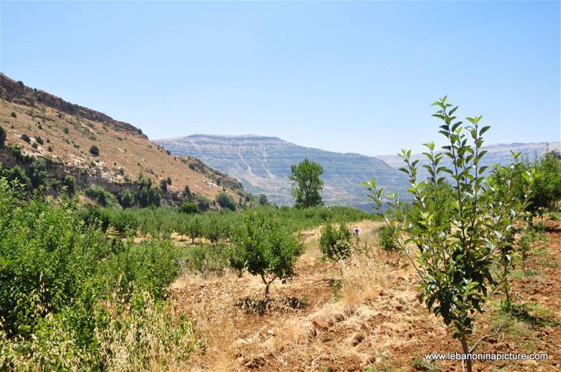 Hiking in Akoura with Promax