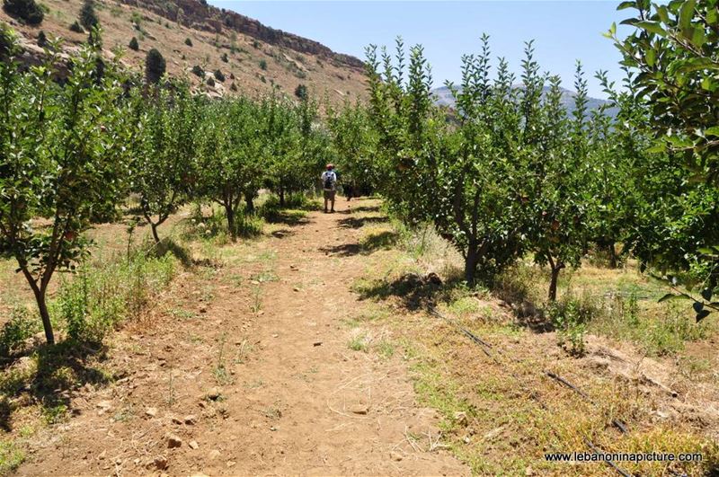 Hiking in Akoura with Promax