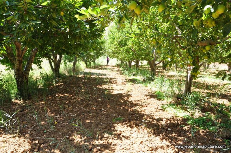 Hiking in Akoura with Promax