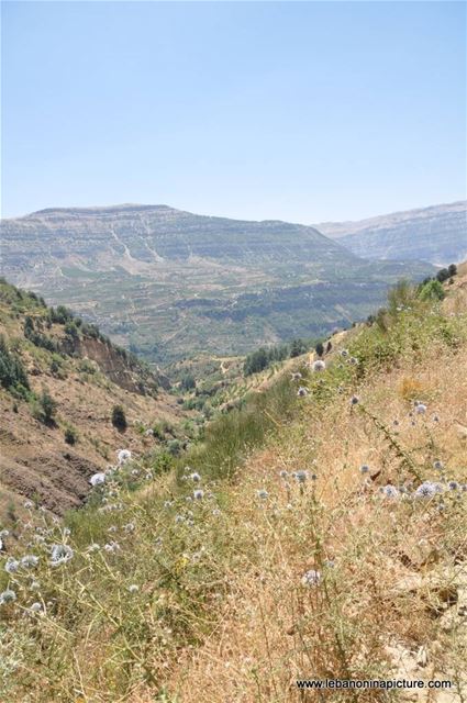 Hiking in Akoura with Promax