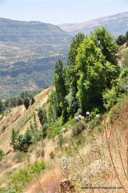 Hiking in Akoura with Promax