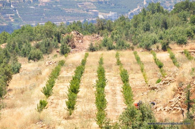 Hiking in Akoura with Promax