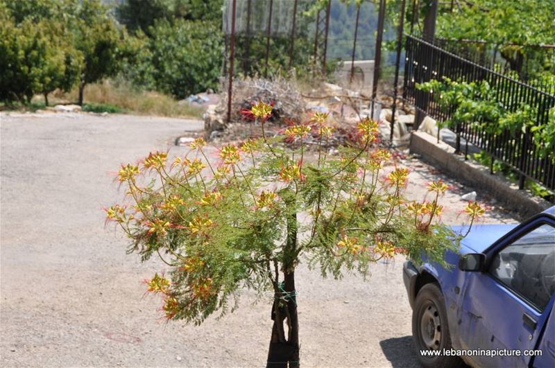 Hiking in Akoura with Promax