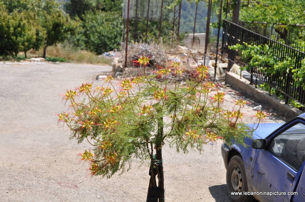 Hiking in Akoura with Promax