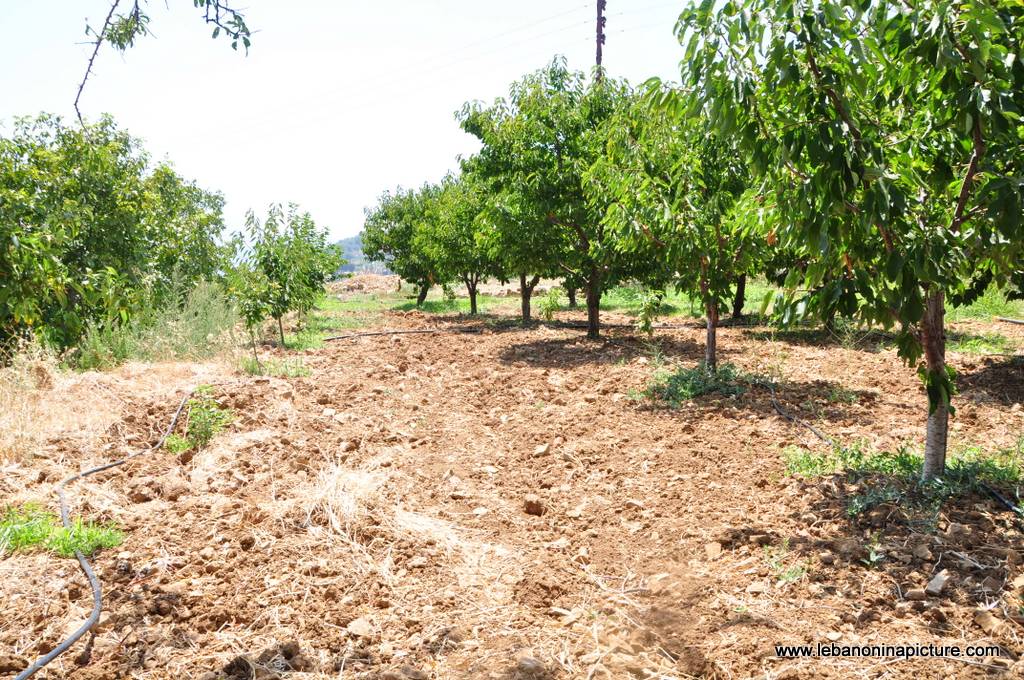 Hiking in Akoura with Promax