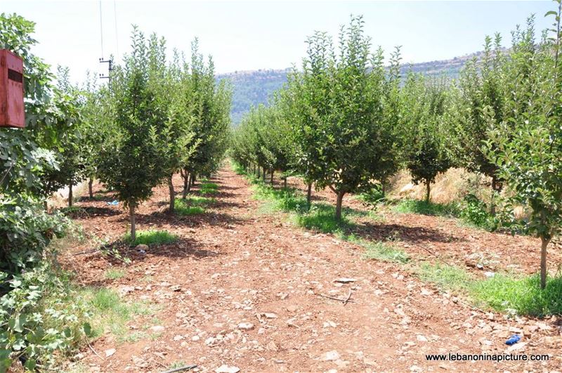 Hiking in Akoura with Promax