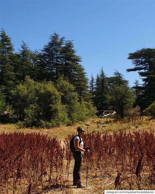 Hiking in paradise 🗺🧭  myadventureslebanon  mountains  hiking ... (Horsh Ehden Nature Reserve)