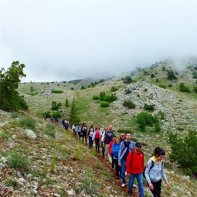 HIKING IN SHOUF CEDAR FOREST IS ALWAYS REFRESHING ❤ hiking ... (Al Shouf Cedar Nature Reserve)