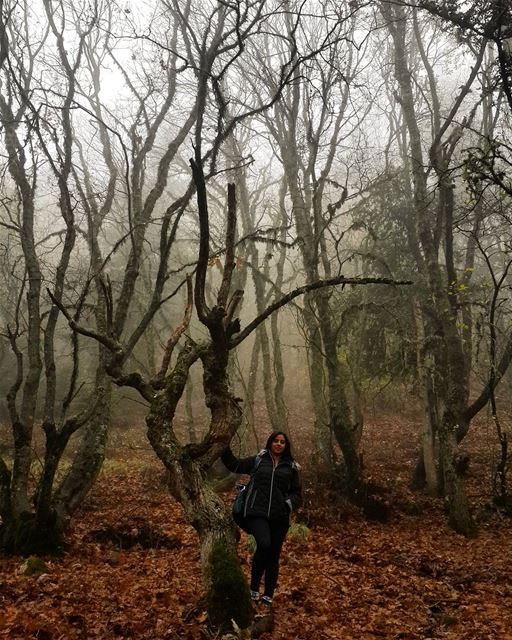  hiking in the  creepy  forest  lebanon  outdoorpeople  mountainaddict ...