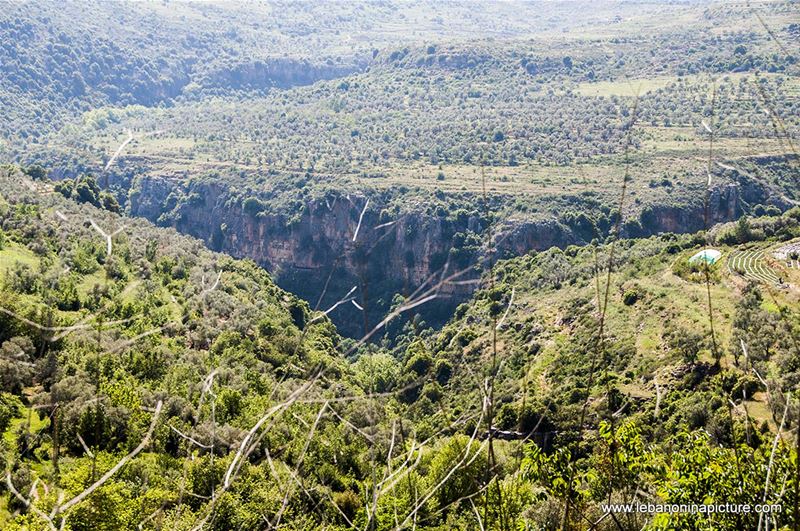 Hiking in Wadi Al Mokhtara with Promax (Shouf Biosphere Reserve)