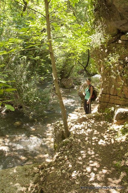 Hiking in Wadi Al Mokhtara with Promax (Shouf Biosphere Reserve)