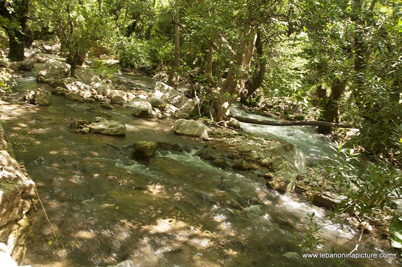 Hiking in Wadi Al Mokhtara with Promax (Shouf Biosphere Reserve)