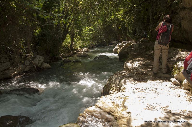 Hiking in Wadi Al Mokhtara with Promax (Shouf Biosphere Reserve)