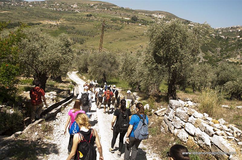 Hiking in Wadi Al Mokhtara with Promax (Shouf Biosphere Reserve)