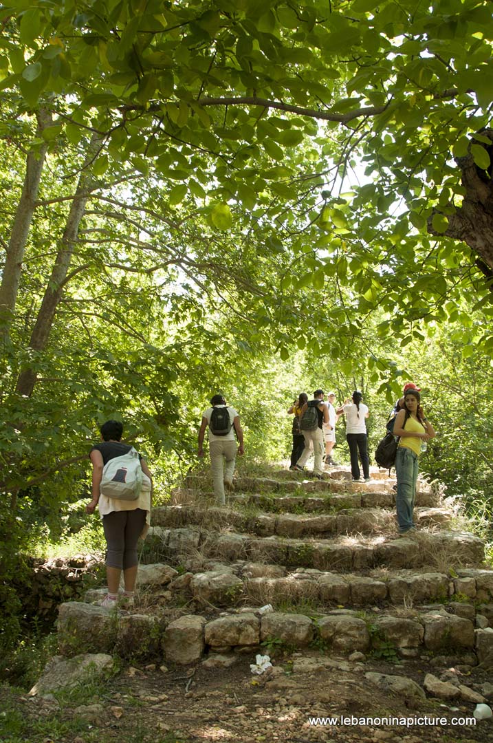 Hiking in Wadi Al Mokhtara with Promax (Shouf Biosphere Reserve)