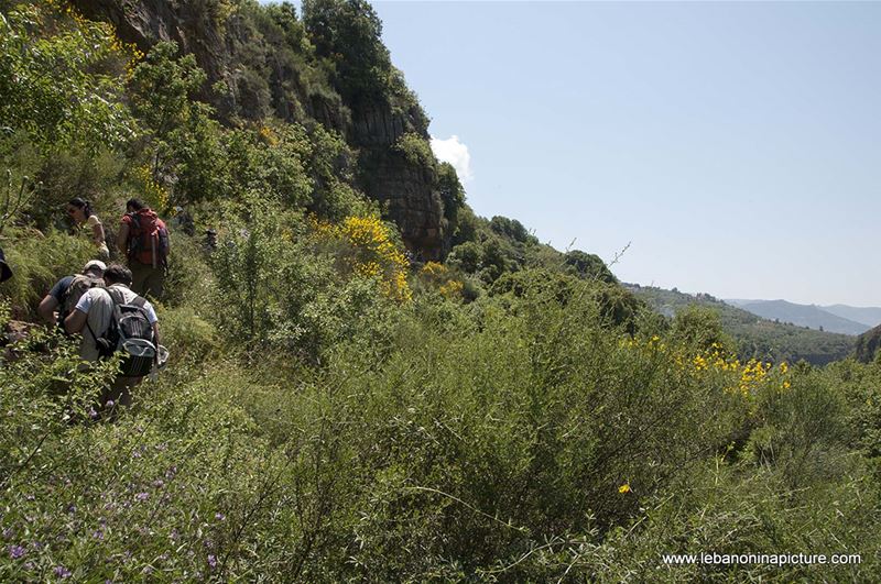 Hiking in Wadi Al Mokhtara with Promax (Shouf Biosphere Reserve)