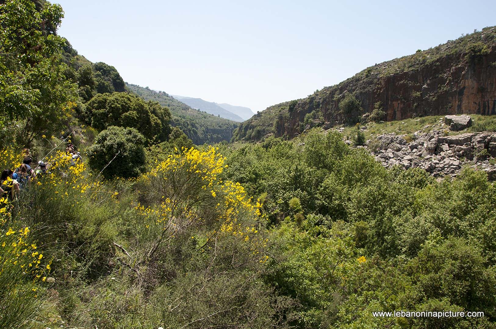 Hiking in Wadi Al Mokhtara with Promax (Shouf Biosphere Reserve)