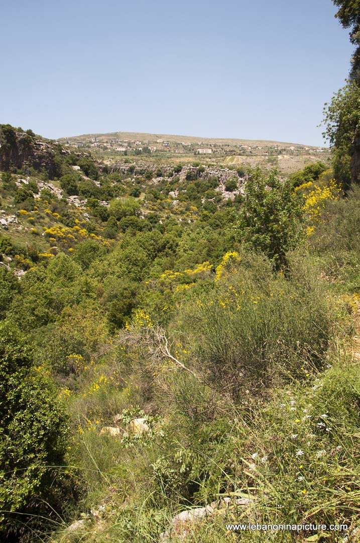 Hiking in Wadi Al Mokhtara with Promax (Shouf Biosphere Reserve)