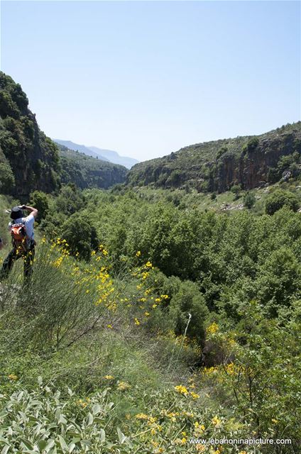 Hiking in Wadi Al Mokhtara with Promax (Shouf Biosphere Reserve)