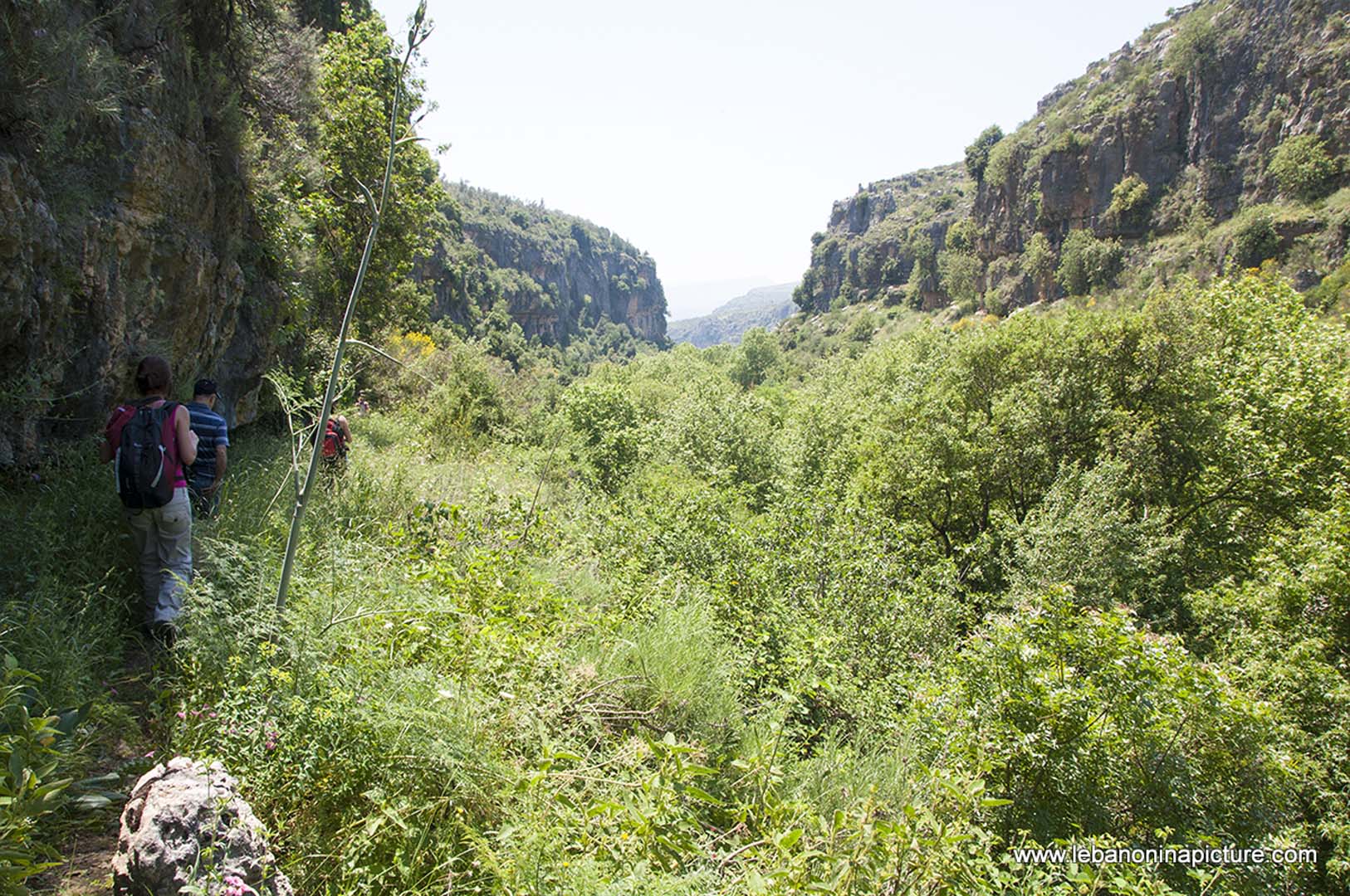 Hiking in Wadi Al Mokhtara with Promax (Shouf Biosphere Reserve)