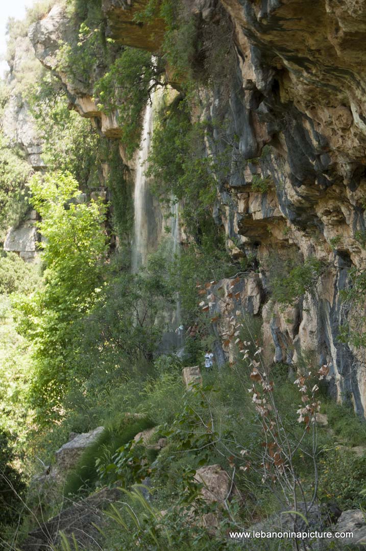 Hiking in Wadi Al Mokhtara with Promax (Shouf Biosphere Reserve)