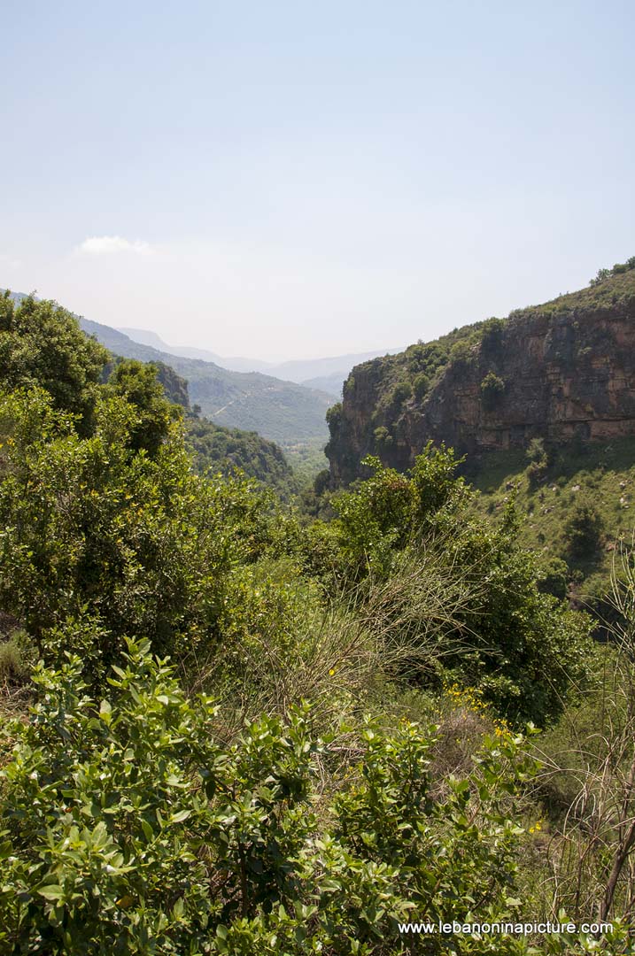 Hiking in Wadi Al Mokhtara with Promax (Shouf Biosphere Reserve)
