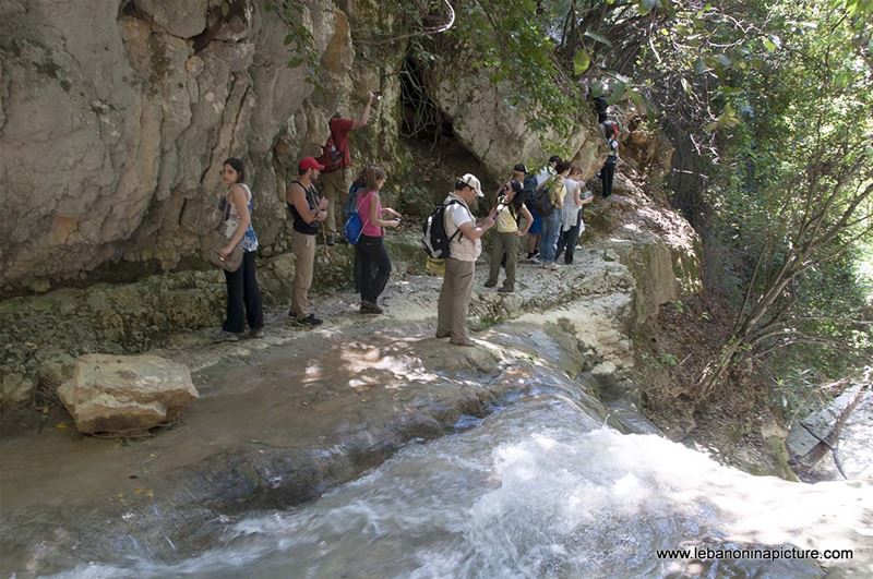 Hiking in Wadi Al Mokhtara with Promax (Shouf Biosphere Reserve)