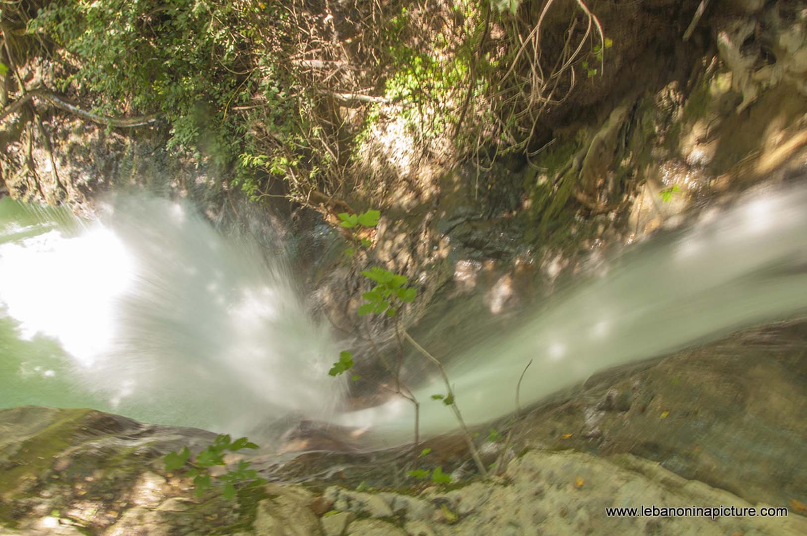 Hiking in Wadi Al Mokhtara with Promax (Shouf Biosphere Reserve)