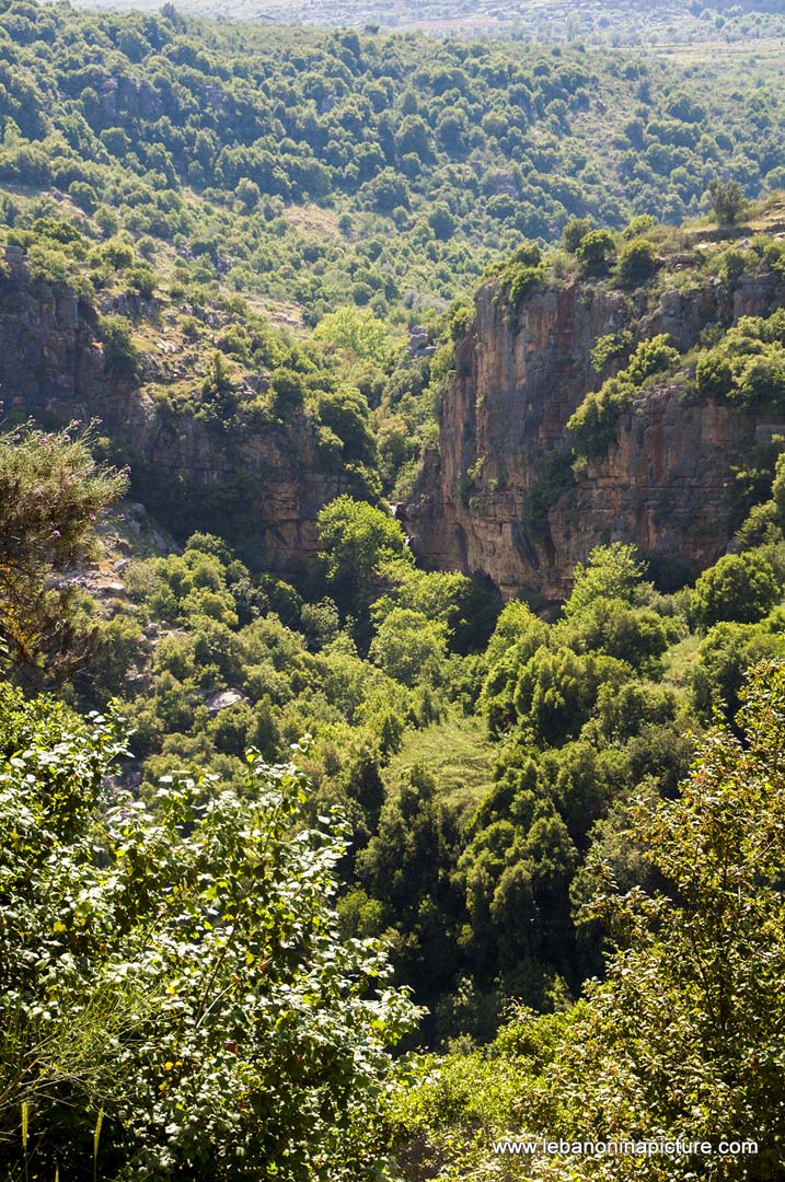 Hiking in Wadi Al Mokhtara with Promax (Shouf Biosphere Reserve)