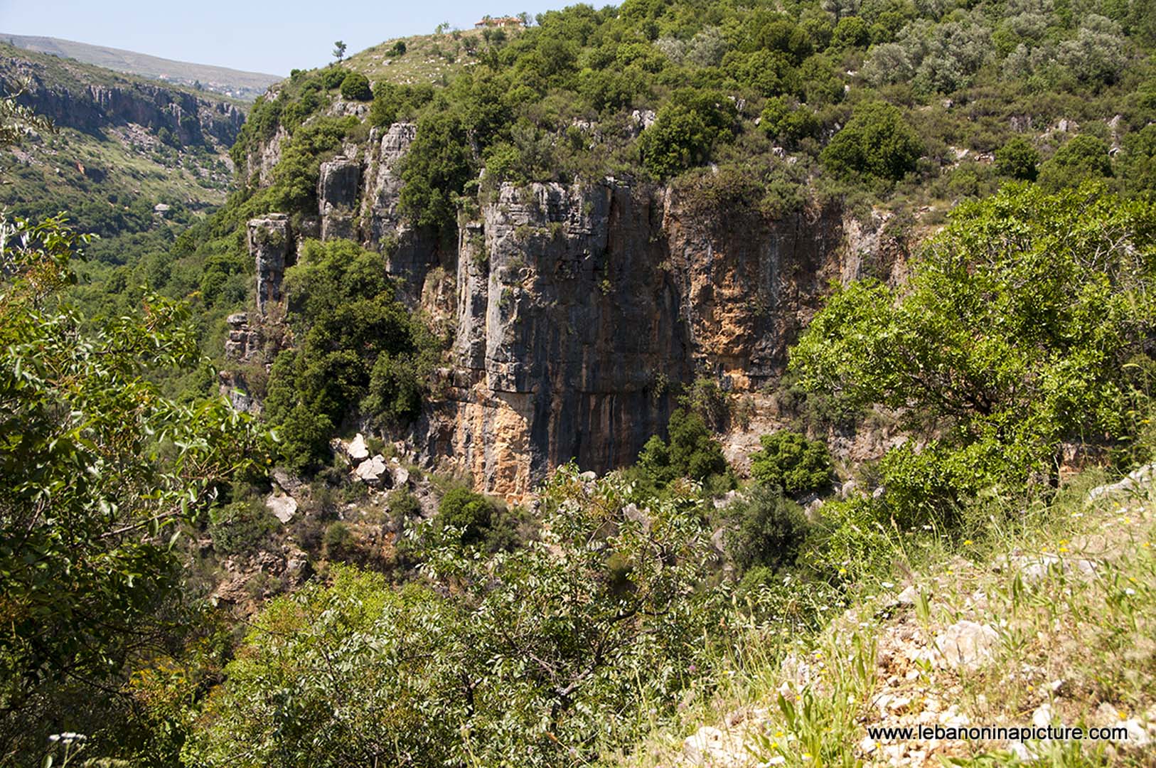 Hiking in Wadi Al Mokhtara with Promax (Shouf Biosphere Reserve)