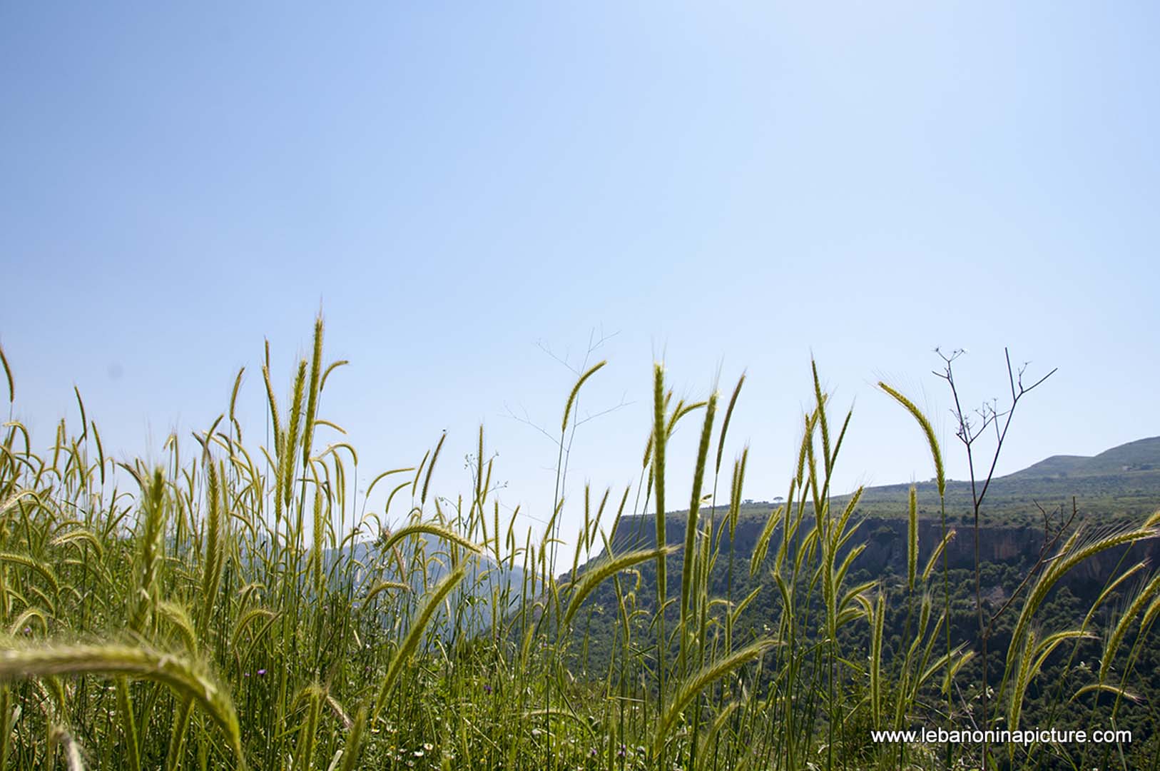 Hiking in Wadi Al Mokhtara with Promax (Shouf Biosphere Reserve)