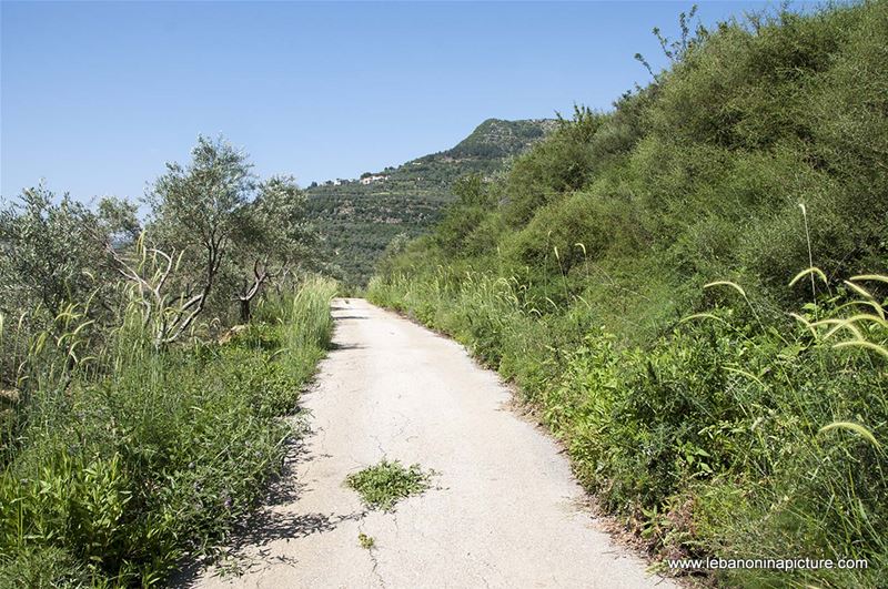 Hiking in Wadi Al Mokhtara with Promax (Shouf Biosphere Reserve)