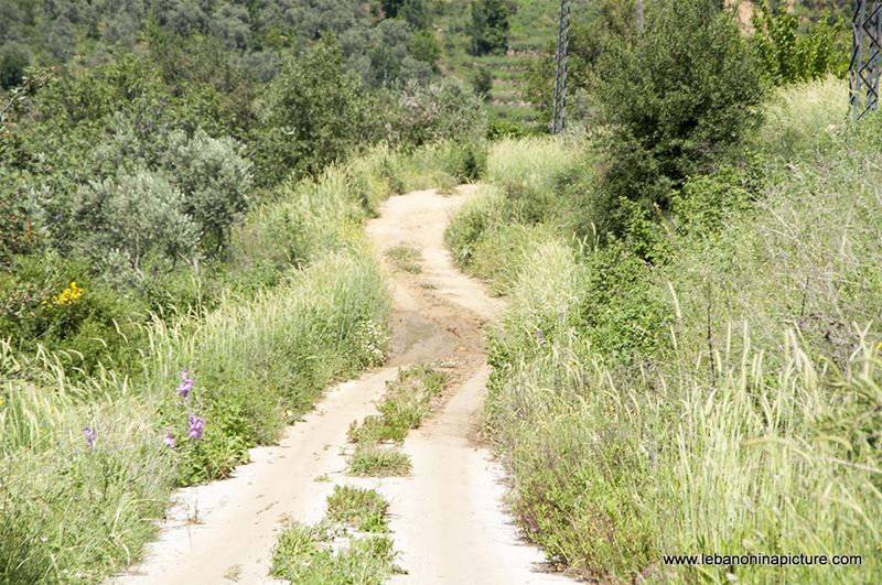 Hiking in Wadi Al Mokhtara with Promax (Shouf Biosphere Reserve)