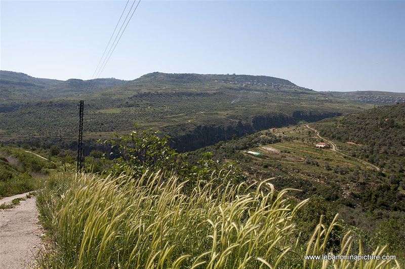 Hiking in Wadi Al Mokhtara with Promax (Shouf Biosphere Reserve)