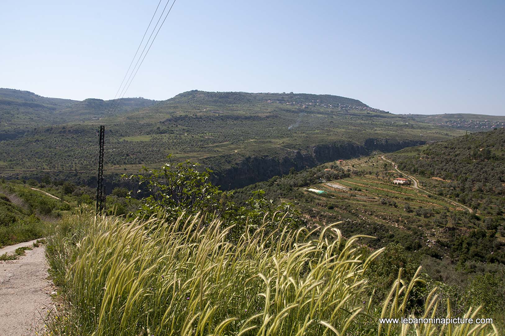 Hiking in Wadi Al Mokhtara with Promax (Shouf Biosphere Reserve)