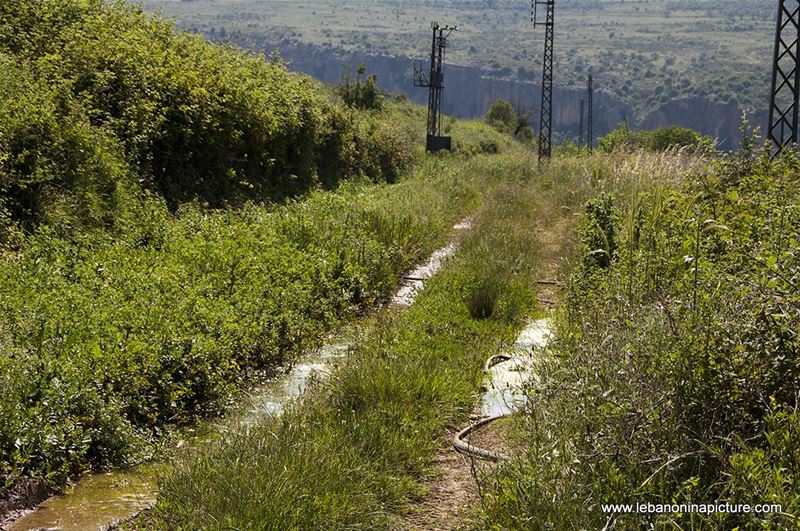 Hiking in Wadi Al Mokhtara with Promax (Shouf Biosphere Reserve)