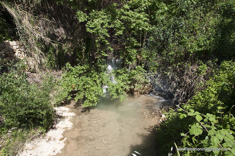 Hiking in Wadi Al Mokhtara with Promax (Shouf Biosphere Reserve)