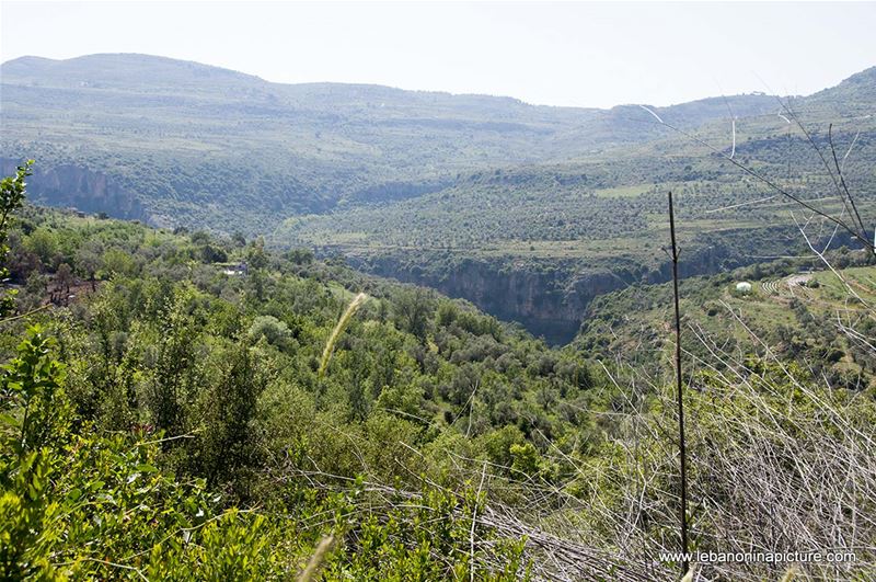 Hiking in Wadi Al Mokhtara with Promax (Shouf Biosphere Reserve)