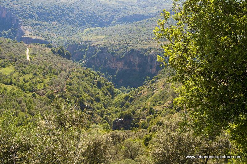 Hiking in Wadi Al Mokhtara with Promax (Shouf Biosphere Reserve)