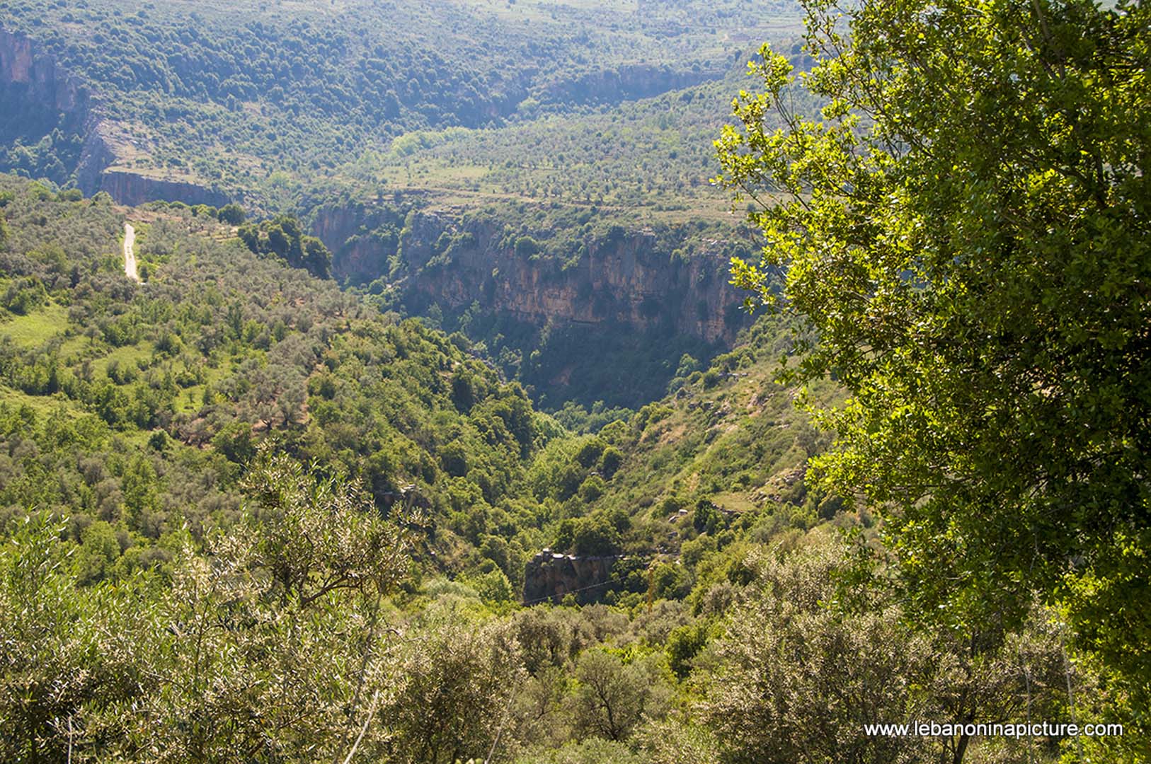 Hiking in Wadi Al Mokhtara with Promax (Shouf Biosphere Reserve)