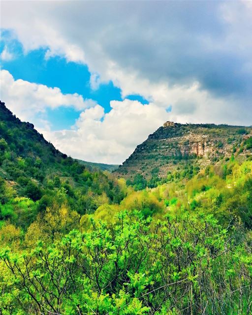 Hiking in Wadi Al Mukhtara Shouf, Lebanon last Sunday, was truly my most...