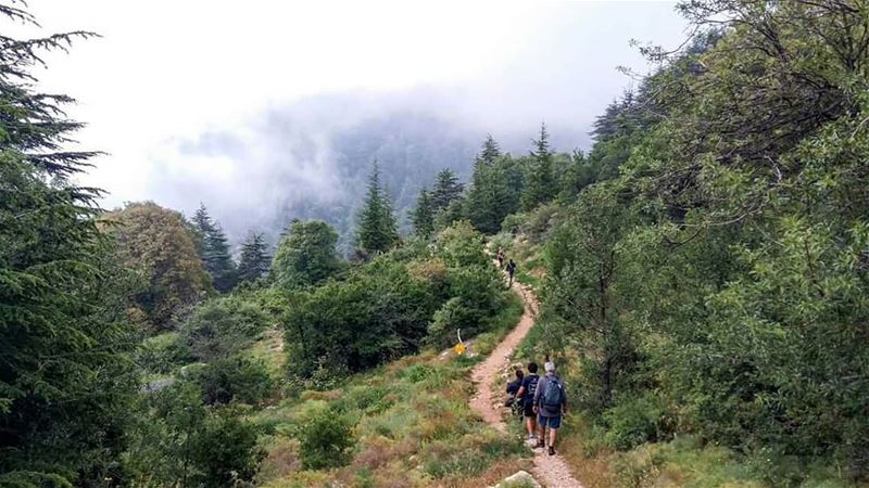 Hiking into heaven ..  horshehden  thebestinlebanon  mycountrylebanon ...