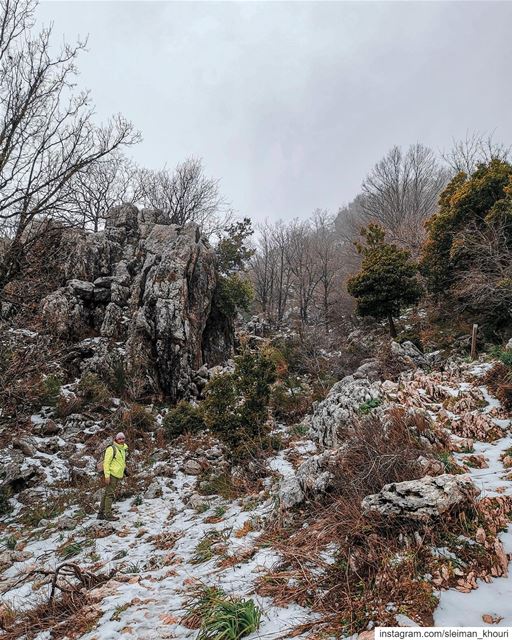🌲Hiking is one of the best ways to distant yourself from Assholes ! 😎——— (Mount Lebanon)