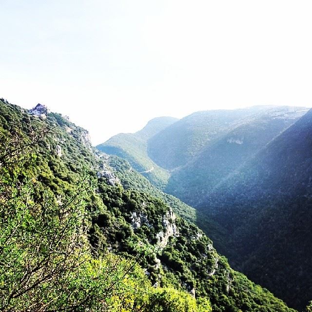  hiking  lebanese  mountain  jbeil  green  nature  lebanon  tree  blue ...