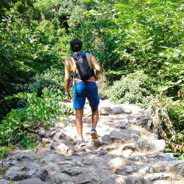  hiking  lebanon  nature  naturelovers  livelovelebanon ...