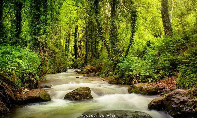  hiking  lebanon  river  longexposure  nature  priroda  photography  nikon... (Bcharré, Liban-Nord, Lebanon)