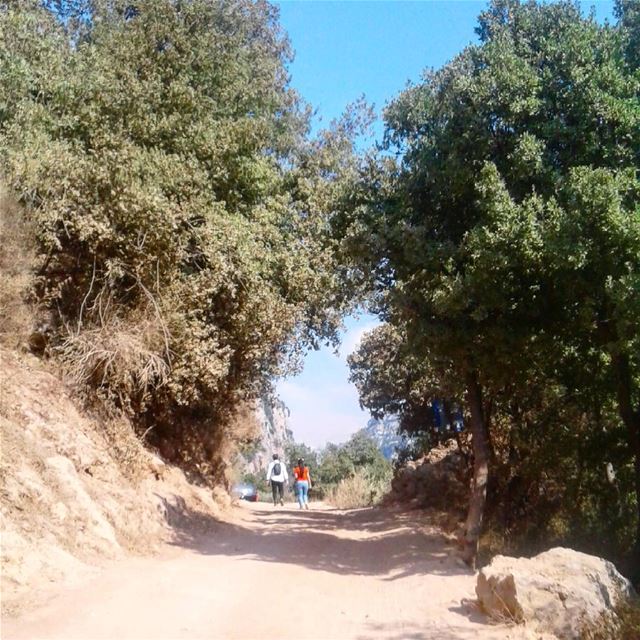  hiking  lebanon ... (مار اليشاع - وادي قنوبين)
