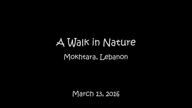  hiking  mokhtara  shouflebanon  shouf  authenticshouf  mountlebanon ...