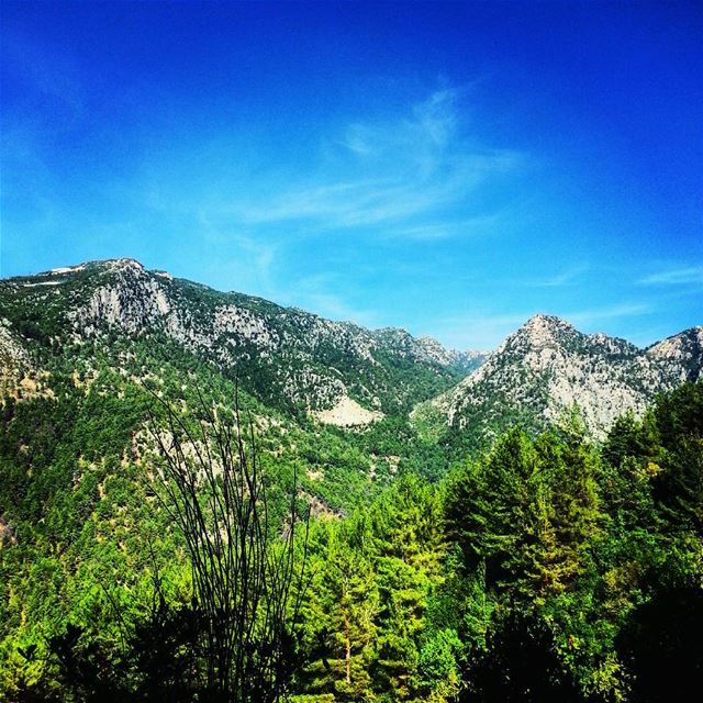 hiking nature hikers naturelovers hike lebanon adventure go extreme... (Janit Artaba)